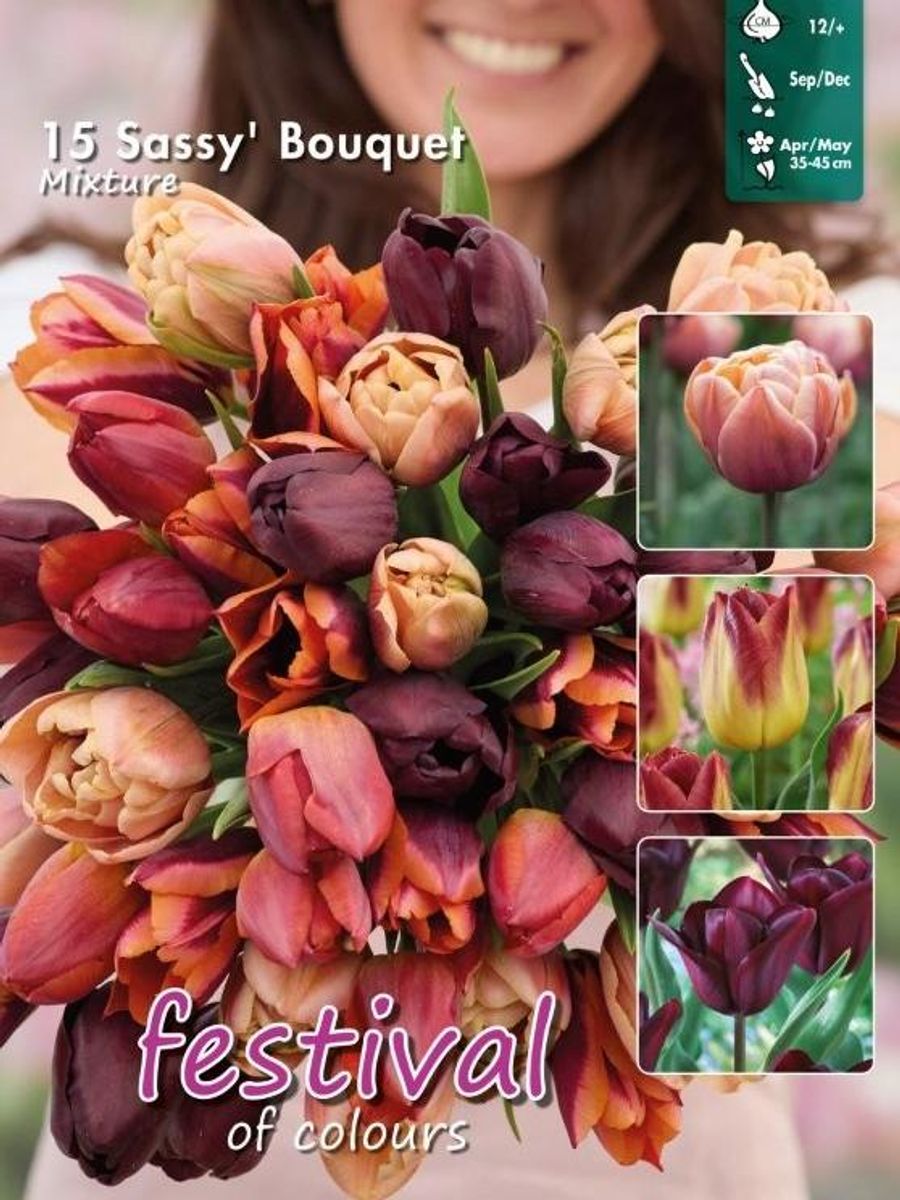 Tulipan big pack Sassy Bouquet Mix 15 stykk 
